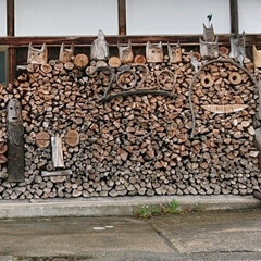ジブリ/トトロの居るおうち/お出かけ/暮らし 🍀トトロ🍀
私の家の近所…「近所じゃな…
