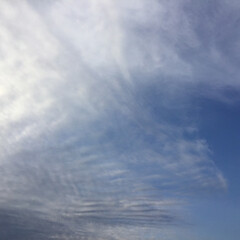 今日の空 夕方4時頃の空
羊雲が多い空模様です(1枚目)