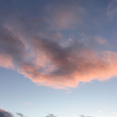ピンクの雲/定位置観測/夕暮れ風景/夕焼け大好き/いま空/今日の夕焼け 日没　16：51
今日も一日お疲れ様でし…(2枚目)