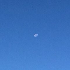 冬の月/今朝の月 西の空の月
冴え冴えとして綺麗
次の満月…(1枚目)