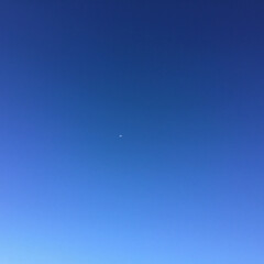 今朝の月/定位置観察/いま空 青空に今朝の月
綺麗です
ちっちゃくてビ…(1枚目)