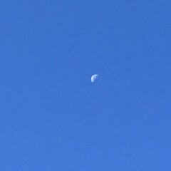 今朝の月 真上に見えた
今朝の月(1枚目)