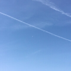 今朝の月 今朝の月　飛行機雲と半月
次の満月は5月…(1枚目)