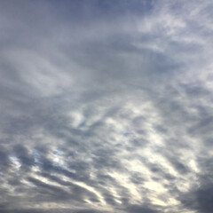 今日の空 夕方4時頃の空
羊雲が多い空模様です(2枚目)