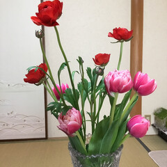 春の花たち (1枚目)