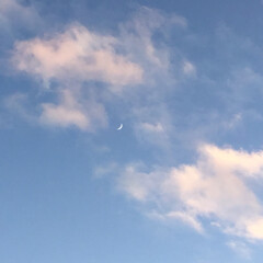 今日の月/定位置観測/夕暮れ風景/夕焼け大好き ピンクの雲と三日月(1枚目)