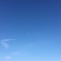 今朝の月 きょうは朝からいいお天気
西北西に朝の月…(1枚目)
