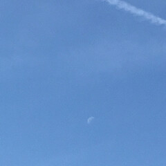 今朝の月 今朝の月　飛行機雲と半月
次の満月は5月…(2枚目)