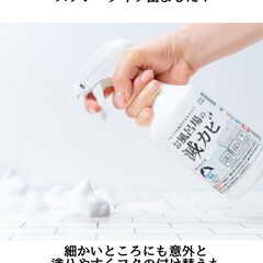 プレッシン CLEANPLANET お風呂の滅カビスプレー 400ml(浴室洗剤)を使ったクチコミ(1枚目)
