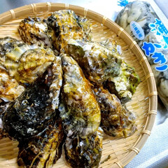 海鮮/おうちごはん/牡蠣 ♡牡蠣

夕べは牡蠣三昧～🦪🦪🦪
毎年、…(1枚目)