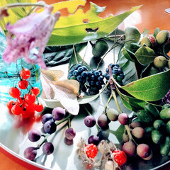 植物/秋/おでかけ/木の実/散策 ♡木の実

昨日の戦利品(の一部)

見…(1枚目)