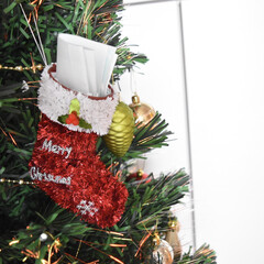 クリスマスプレゼント/クリスマス雑貨/クリスマスインテリア/クリスマスツリー/クリスマス/ダイソー/... クリスマスツリーの靴下の飾りに
子どもた…(1枚目)