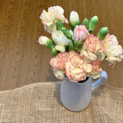 カーネーション/花のある暮らし/花が好き/切り花/ダイソー おはようございます🧸🔆
昨日は珍しく同…