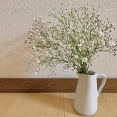 かすみ草/花のある暮らし/花が好き/ダイソー おはようございます🧸🔆
昨日は仕事へ行…