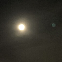 月夜/いま空 こんばんは🧸🌙

満月でしょうか？
まん…(1枚目)