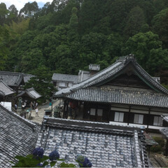 紫陽花/楊谷寺/旅行/風景/令和元年フォト投稿キャンペーン とにかく素敵でした。京都のインスタ映え仏…(4枚目)