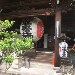 紫陽花/楊谷寺/旅行/風景/令和元年フォト投稿キャンペーン とにかく素敵でした。京都のインスタ映え仏…(6枚目)