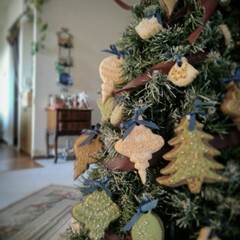クリスマスツリー#オーナメント#ア.../クリスマス2019/リミアの冬暮らし/我が家のテーブル/ハンドメイド オーナメントはアイシングクッキー
毎日一…(1枚目)