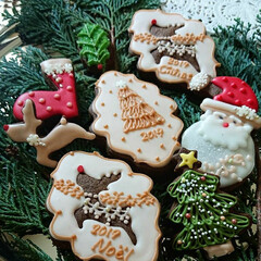 アイシングクッキー/クリスマス2019/リミアの冬暮らし/ハンドメイド 我が家の小さなladyの大きな挑戦
スポ…(1枚目)