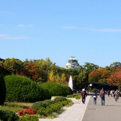 紅葉始まるね/大阪城公園 紅葉まであと少し！
の、大阪城公園😊
外…(1枚目)