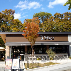 紅葉始まるね/大阪城公園 紅葉まであと少し！
の、大阪城公園😊
外…(8枚目)