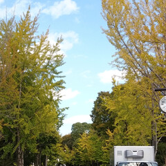 紅葉始まるね/大阪城公園 紅葉まであと少し！
の、大阪城公園😊
外…(7枚目)