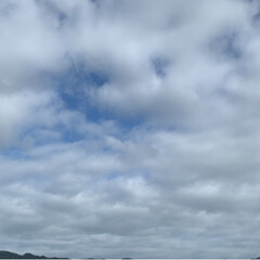 ゴーヤ/家庭菜園/今日の空/フォロー大歓迎/LIMIAファン/青空白い雲 こんばんは！
今日の空
青い空と白い雲と…(5枚目)