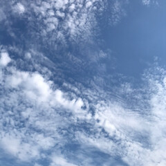 青い空/令和の一枚/フォロー大歓迎/風景/暮らし 夏本番
梅雨明けもしこれから毎日
暑い暑…(2枚目)