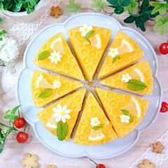 蜂の巣ケーキ/レモンムースケーキ/レモンムース/手作りお菓子/お菓子作り/手作りおやつ/... はちみつレモンムースケーキ🍋
タルトボト…(5枚目)