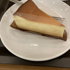 チーズケーキ/スタバ 義姉さんと一緒にスタバに行った時に食べた…(1枚目)