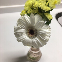 一輪挿しの花瓶 同じ花でも花瓶が違うと違って見えるから不…(2枚目)