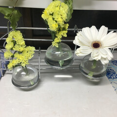 一輪挿しの花瓶 同じ花でも花瓶が違うと違って見えるから不…(1枚目)