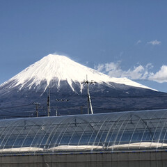 女富士/富士山麓/富士山 やっと今日はスッキリした富士山🗻が見れま…(1枚目)