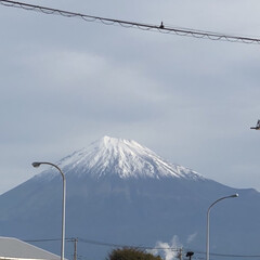 富士山麓/富士山 今朝の富士山🗻

少し🤏は雪❄️が積もっ…(1枚目)