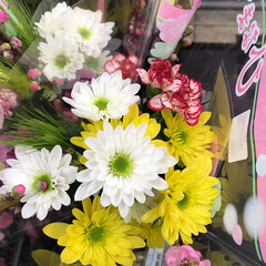 ありがとう/花屋さんの花/スーパー/ピンク 2020年2月28日、4、アラニスより愛…(10枚目)
