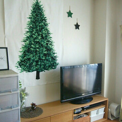賃貸インテリア/ツリータペストリー/クリスマス/リミアの冬暮らし/リミアな暮らし/住まい/... わが家のクリスマスツリーは、ツリータペス…(1枚目)
