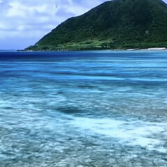 「海底噴火で沖縄の綺麗な海が大変な事になっ…」(8枚目)