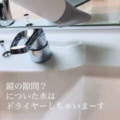 レプロナイザー 4D Plus | リュミエリーナ(ヘアドライヤー)を使ったクチコミ「洗面台にドライヤー置いてるのですが、拭き…」(1枚目)