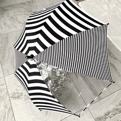 白黒/モノトーン好き/モノトーングッズ/モノトーン/ボーダー柄/ボーダー/... 息子の使っている
傘の布が少し薄くなって…(2枚目)