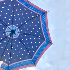 梅雨/雨/傘/雨季ウキフォト投稿キャンペーン 雨の日にお気に入りの傘でお散歩です(1枚目)