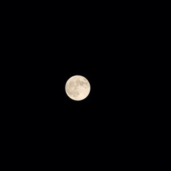 月/望遠レンズ/一眼レフ好きな人と繋がりたい/一眼レフのある暮らし/フェンダー越しの私の世界/写真好きと繋がりたい/... 参考までに前回の投稿の月を切り取る前はこ…(1枚目)