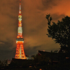 朱色/フォロー大歓迎/はじめてフォト投稿 夜の東京タワー(1枚目)