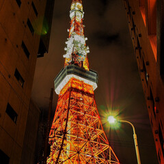 朱色/フォロー大歓迎/はじめてフォト投稿 光り輝く東京タワー(1枚目)