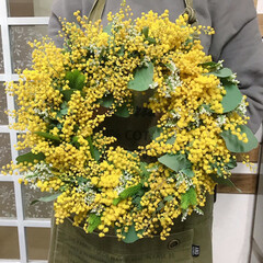 リース/ミモザ/ミモザリース/リース作り/雑貨/ハンドメイド お花屋さんから沢山お花のついたミモザが入…