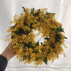 ミモザ/ミモザリース/リース作り/雑貨/ハンドメイド ミモザにお友達から頂いたお花に入ってたグ…