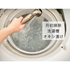 オキシクリーン 1500g | グラフィコ(マルチクリーナー)を使ったクチコミ「洗濯槽を今回はオキシクリーンでつけ置きし…」(1枚目)