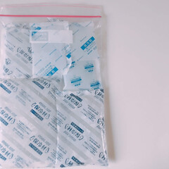 保冷剤 アイスパック FAR400(かき氷機)を使ったクチコミ「冷凍庫収納

冷凍庫の保冷剤はジッパー袋…」(1枚目)