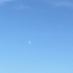 空の色/おでかけ/風景/ブルー 五時なのにまだ明るい。
お月様が見えた。(1枚目)