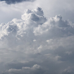 雲/空 入道雲が凄い勢いでこっちに💦
雷もなって…(1枚目)