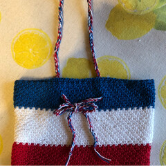 トリコロールカラー/バッグインバッグ/雑貨/ハンドメイド/100均/ダイソー かぎ針編みでバッグインバッグを作りました…(2枚目)